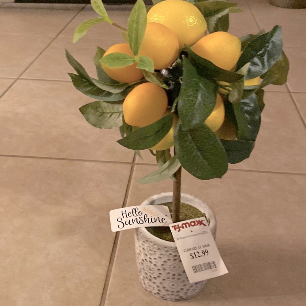 Home decore lemon tree
